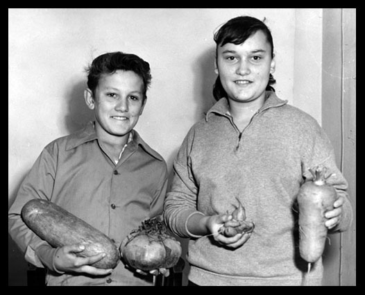 Jack and Kathleen Werner display giant vegetables