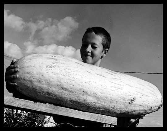 Leon Just 11 years old with giant Banana Squash