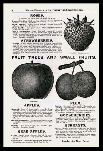 Fruit Trees and Small Fruits