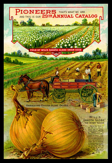 1912 Will's Seed Company Catalog Back Cover, featuring Dakota Globe Onions
