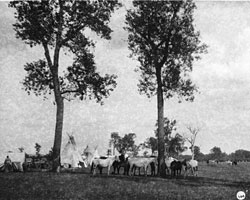 portion of camp at Fort Berthold Indian Fair 1914