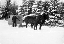 Mr. Wood and Horse Drawn Sled