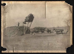 Haying on the Glen Smith Farm