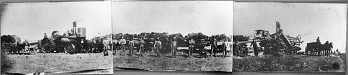 Threshing, York ND 09-25-1909