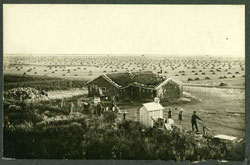 Kaser Sod House, 1906