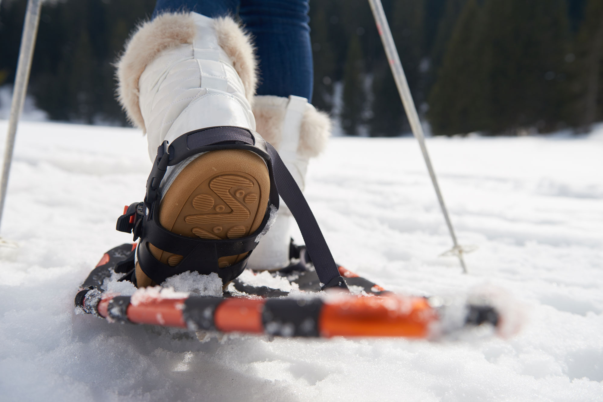 A knee down shot of a woman snowshoeing. She's wearing jeans, white fuzzy boots, and orange snowshoes.