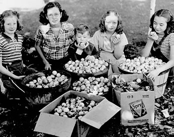 Girls with harvested apples