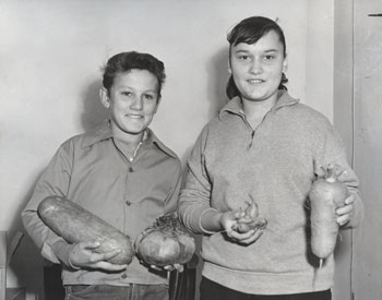 Girls with harvested apples