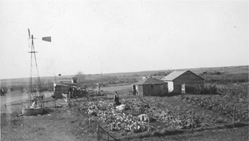 Farmstead with garden