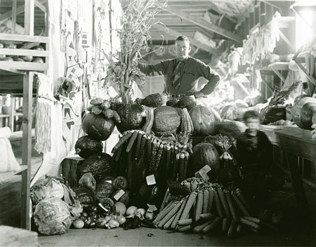 Vegetable Exhibit at Standing Rock Fair