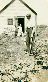 man cultivating garden