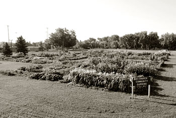 Bismarck Community Garden