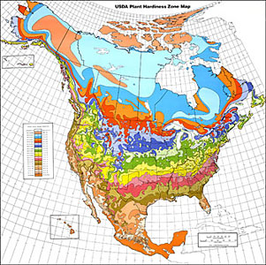 North American hardiness zone map