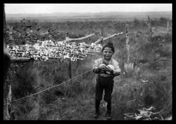 Wolf Chief's son stringing squash