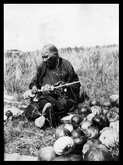 Owl Woman Stringing Squash