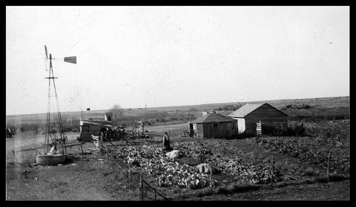 Farmstead with garden