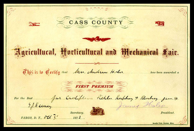 Cass County Agricultrual Fair Award for Mrs. A. Holes, 1873