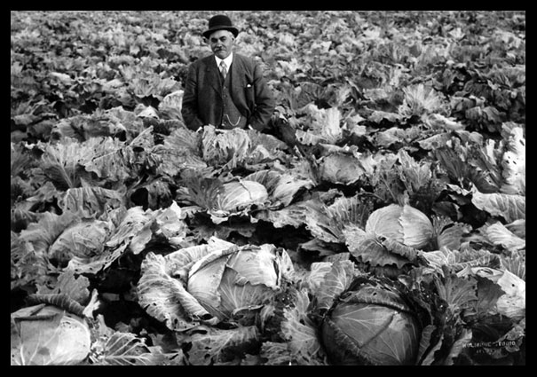 Deputy Warden Peter Reid with Cabbage Garden