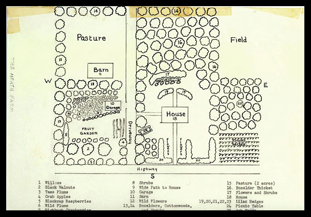 Fannie Mahood Heath's Home Garden