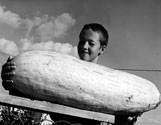 Leon Just with Giant Banana Squash