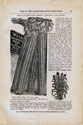 Will Seed Company Catalog 1895 p15