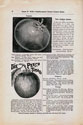 Will Seed Company Catalog 1895 p8