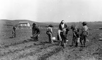 Sister Berthold and Indian Boys Gardening