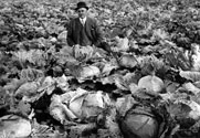 Deputy Warden Peter Reid with Cabbage Garden