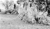 Sakakawea Statue, 1936