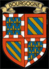 bourgogne shield