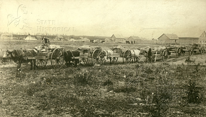 Ox cart train leaving St Joseph (Walhalla)