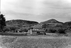 Pembina Log Cabin