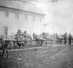 Pembina Ox Cart Train