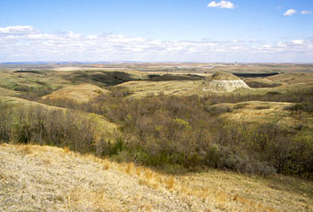 West Mine Area looking at tree-filled draw