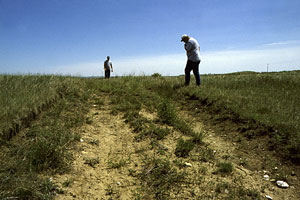 Class 3 cultural survey on prairie