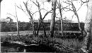 Fort Abercrombie view from across the river, 1869