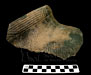 pottery rim sherd 1