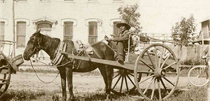 Metis Red River Cart pulled by horse