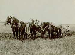 Plowing in North Dakota