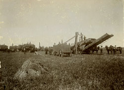 threshing on Dwight farm