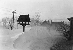 snow bank and bird feeder at ft lincoln