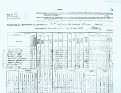 census report
